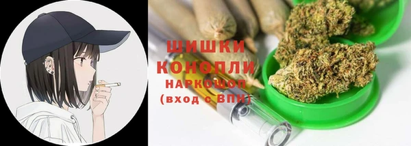 дмт Арсеньев