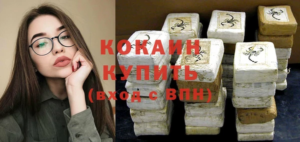 дмт Арсеньев