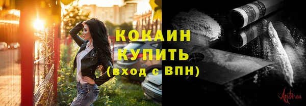 дмт Арсеньев