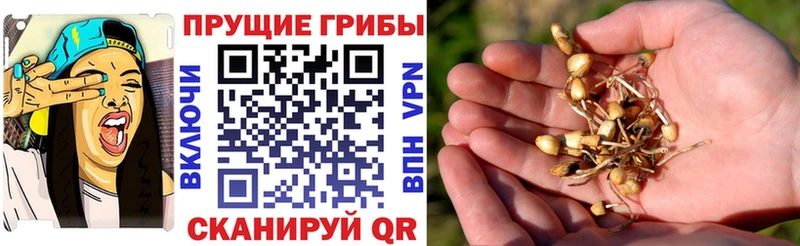 Псилоцибиновые грибы MAGIC MUSHROOMS  Омск 