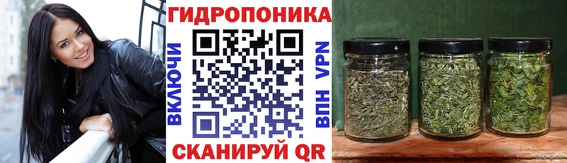 Каннабис индика Омск
